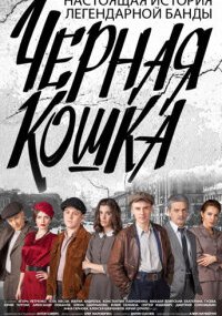 Чёрная кошка