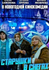 Старушки в снегах