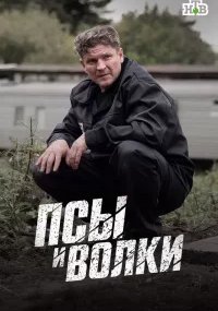 Псы и волки