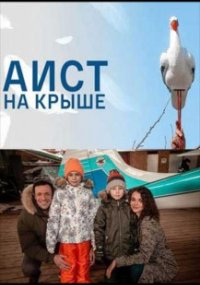 Аист на крыше