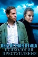 Психология преступления - 6. Перелетная птица